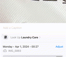 iPhone Visual Look Up Laundry Care Results
