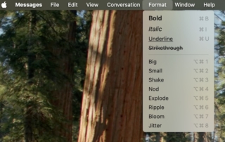 Messages Text Style and Effects on Mac